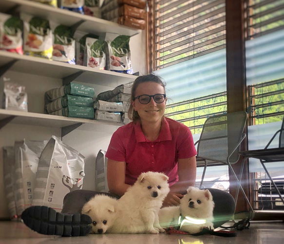 Pet Care Image